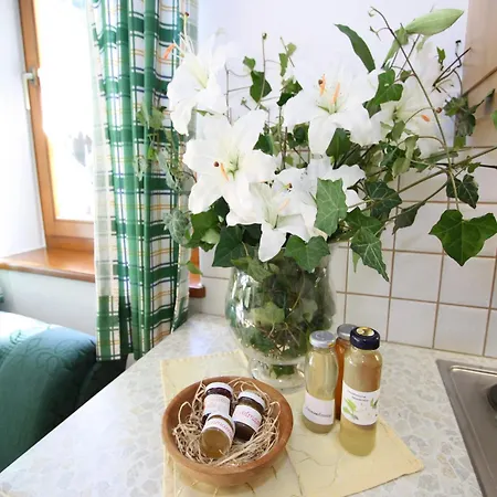 Apartmán In Near Bus *